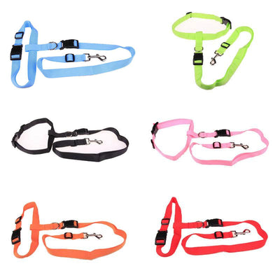 Traction Pulling Leash